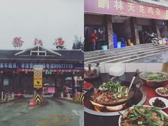 -鹏林天龙鸡杂