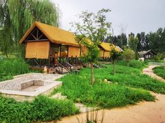 -黄河谷马拉湾海浪浴场