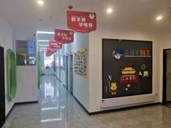 -蓝精灵创客少儿编程(百步亭中心)