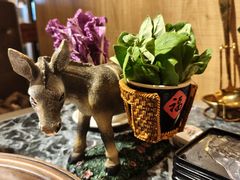 -慢丽江·云南野生菌土鸡锅(西山店)