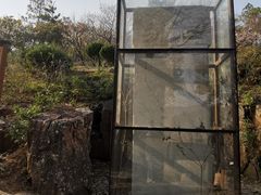-香雪海