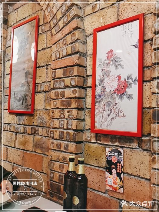 黑蚂蚁(南河店)图片