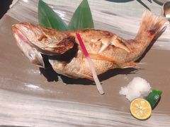 红睦鱼-炉匠炉端烧·酒(国金中心商场店)