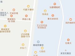 -张醪糟