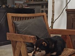 -自由生长植物工作室(深港花卉中心店)