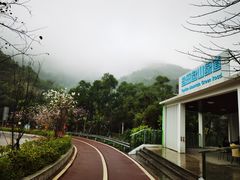 -梧桐山风景名胜区