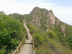 -大岭沟猕猴桃谷风景区