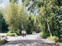 -广州市白云山风景名胜区