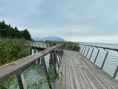 -苏州太湖国家湿地公园