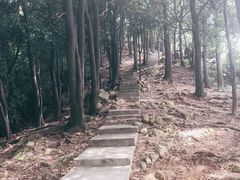 -火炉山森林公园