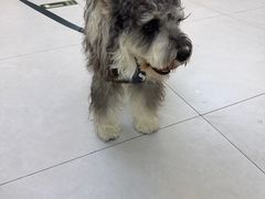 -达爱动物医院·犬猫分区·CT·复杂眼科(远洋山水分院)