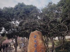 -无锡梅园公园