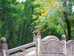 -柯岩风景区