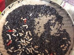 -昆虫窝子·特色云南菜(拓东路总店)