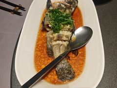 清蒸老虎斑-徐记海鲜(曲江南湖店)