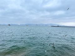 -刘公岛景区