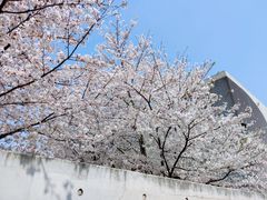 -龙美术馆(西岸馆)