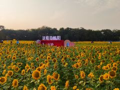 -北陵公园