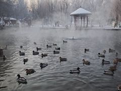 -水磨沟公园