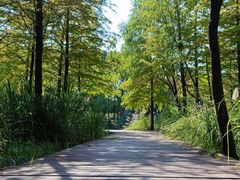 -梁鸿国家湿地公园