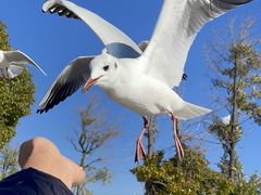 -呈贡滇池生态湿地公园