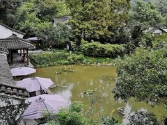 -嘉龙茶庄