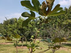 -中国移动南方基地