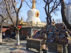 -护国法轮寺