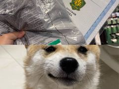 -北京中赫国安足球俱乐部