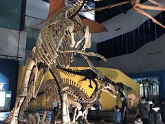 -湖南省地质博物馆