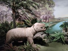 -湖南省地质博物馆