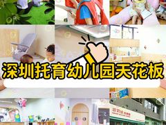 -菲司迪托育园(蛇口店)