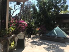 -Rock Bar Bali(Bali)