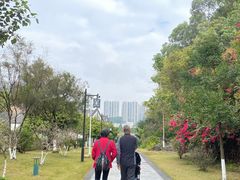 -广州神农草堂中医药博物馆