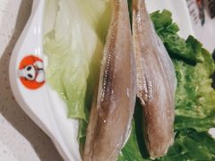 -川西坝子(苏州城市生活广场店)