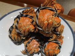 -杨氏青龙虾·羊蝎子(珠江路店)
