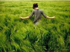 -米兰西点(辽阳店)