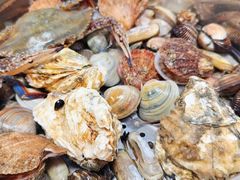 -富临港·蒸汽海鲜·手抓海鲜·炒菜(栈桥店)