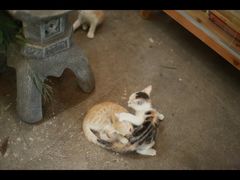 -行人小筑·茶馆(岑村火炉山分店)