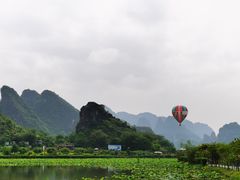 -银峰农庄·特色烧鸡·鲜无花果浸鸡
