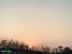 -白鹭湾湿地公园