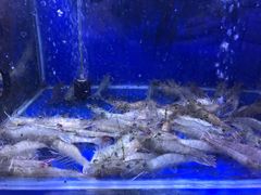 -港迹·鲜围煮海鲜火锅(湖州时代广场店)