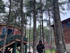 -洛阳白云山景区