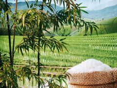 -湘邻呷铺·田园家宴(汉基广场店)