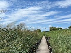 -苏州太湖湖滨国家湿地公园
