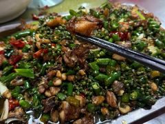 -铁山坪森林公园