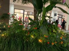 -宁波杉井奥特莱斯广场