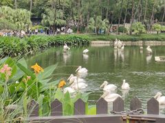 -广州动物园