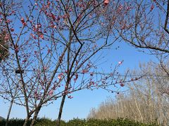 -敬亭山风景名胜区