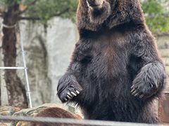 -灵玲国际马戏城